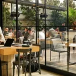 کافه پروژه‌ د (کافه دی پراجکت)