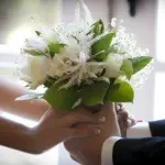 استودیو-اریکه