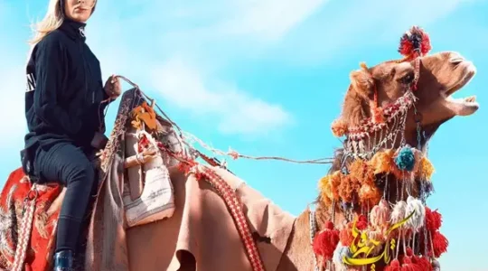 استودیو تک چهره‌ها