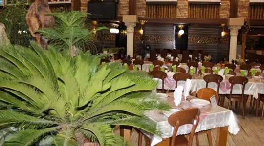 رستوران-پدیده-شاندیز