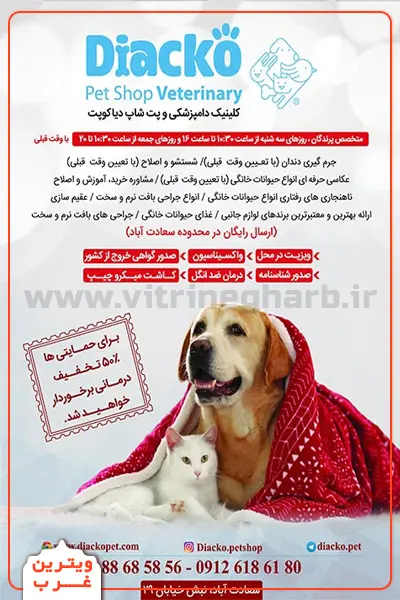 دیاکوپتشاپ