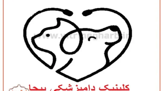 پت-شاپ-پیچا