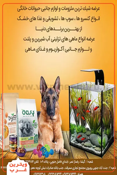 پت_-شاپ-پایتخت