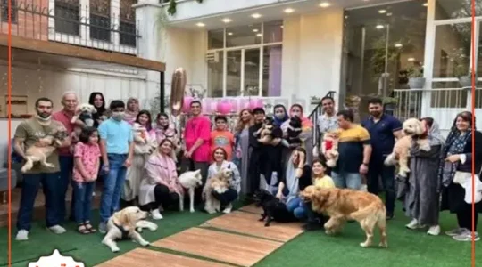 کلینیک-دامپزشکی-آفاق