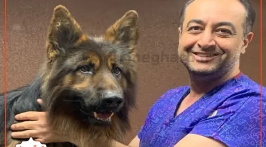 ویترین غرب تهران