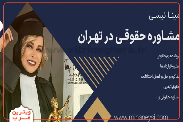 مینا-نیسی-وکیل