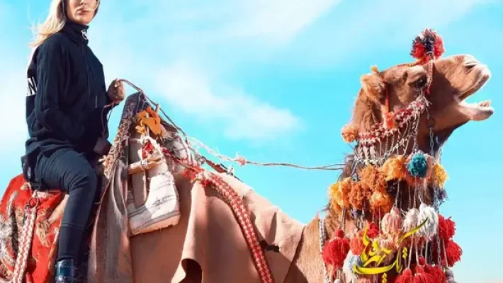 استودیو تک چهره‌ها