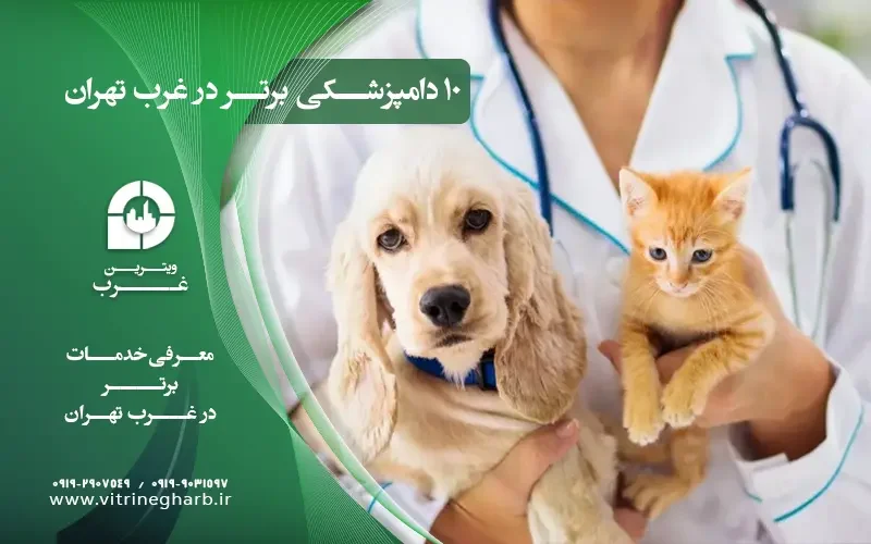 بهترین دامپزشکی