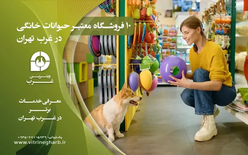 بهترین پت شاپ