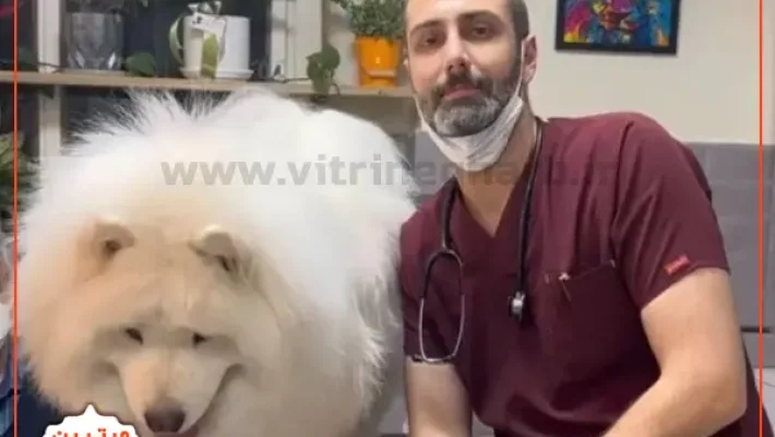 دامپزشکی-دکتر-مهرداد-کریمی