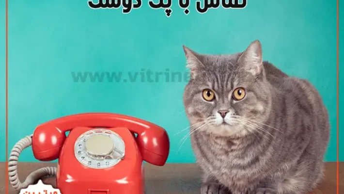 فروشگاه-حیوانات-پت-دوست