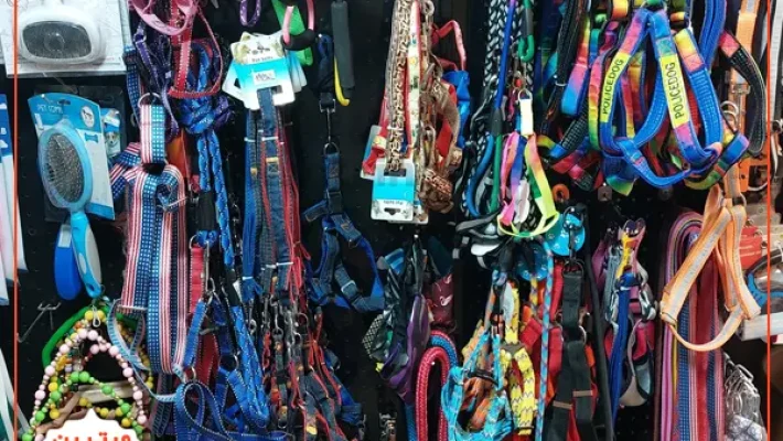 پت-شاپ-طرلان-(جنت-اباد)