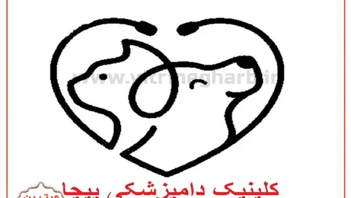 پت-شاپ-پیچا