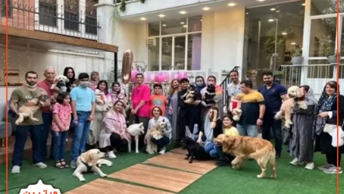 کلینیک-دامپزشکی-آفاق