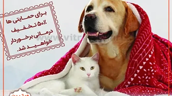 _کلینیک-دامپزشکی-دیاکوپت